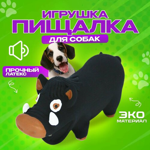 ���� ������������� ������� ��� ����� ������� � ������� ����� , ����� ���������, ������ ������