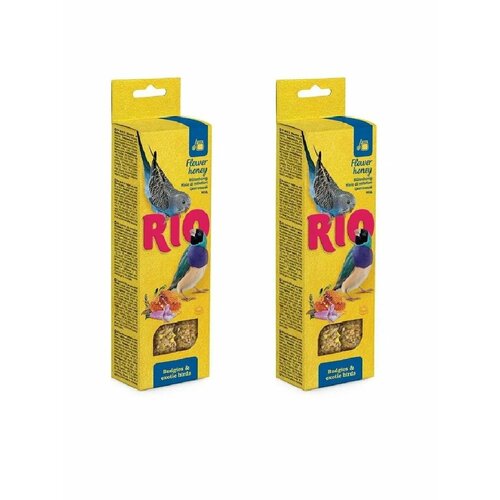  RIO         2*40 (2 )   -     , -  