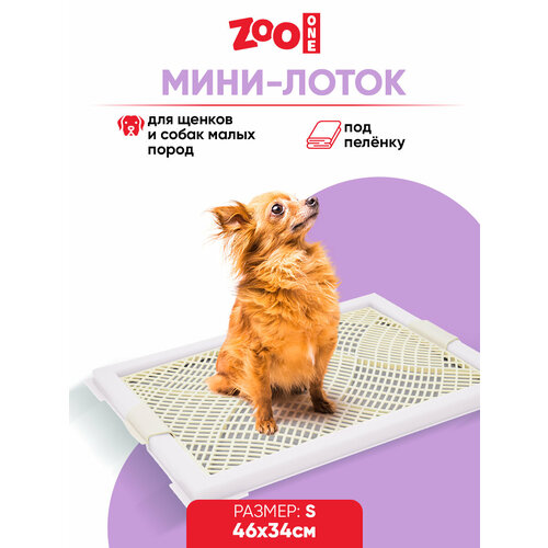      Zoo One  , , 46  34  2 , , P104-11   -     , -  