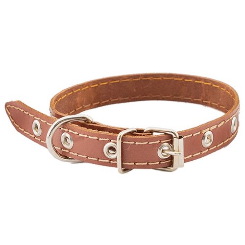 ���� ��� ����������� ������������� ������� Homepet 51115, ������ ��� 28-38 ��, ����������, M, ������ ������