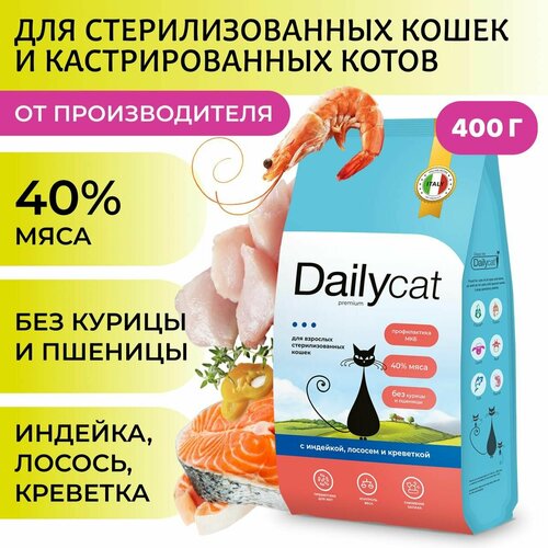    Dailycat     ,  ,   , 400    -     , -  