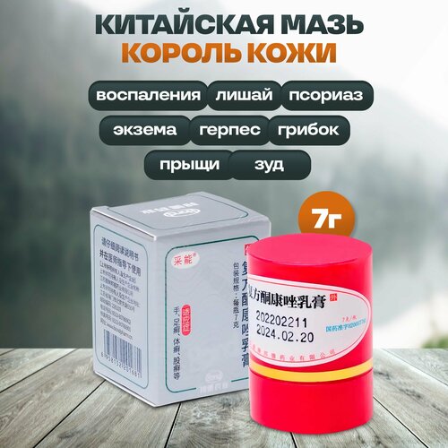 ���� ���� ������ ����, 7 ��, ������ ������