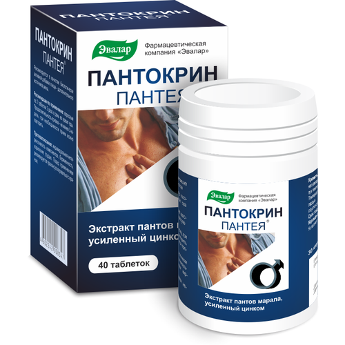 ���� ��������� ������ ���., 40 ��., ������ ������