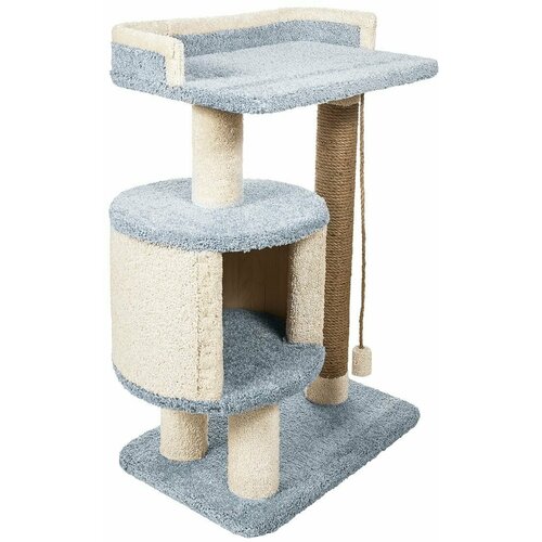 ���� ������� �������� ��� ����� 