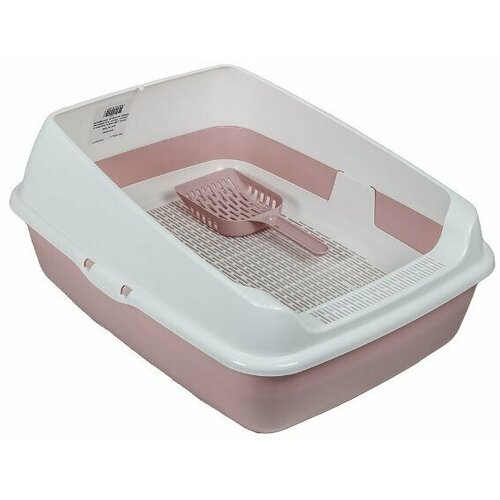 ���� ����� ��� ����� 