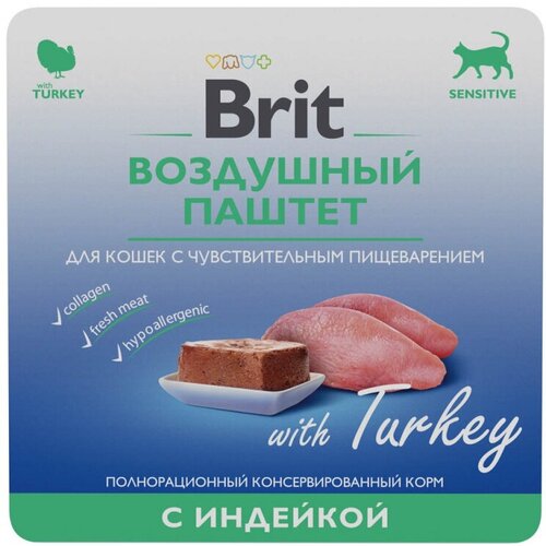     Brit Premium           (100 )   -     , -  