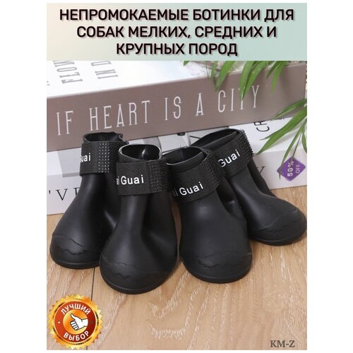 ���� ����� ��� ����� � ����� �������������. ��������� ��������� ��� ����� � �����. ������-S. ������, ������ ������