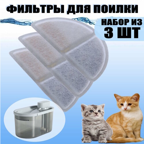 ���� ������ ��� ���� � ������� ��� ����� � �����, ������ ������