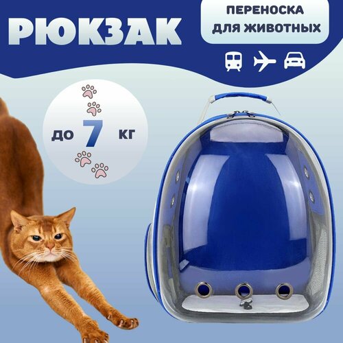 ���� ��������� ������ ��� �������� ������ ����� ����� � ���������� �������, ������ ������