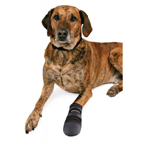 ���� ������� ��� ����� TRIXIE Walker Care Protective, 2 �� , XXXL, ������ ������