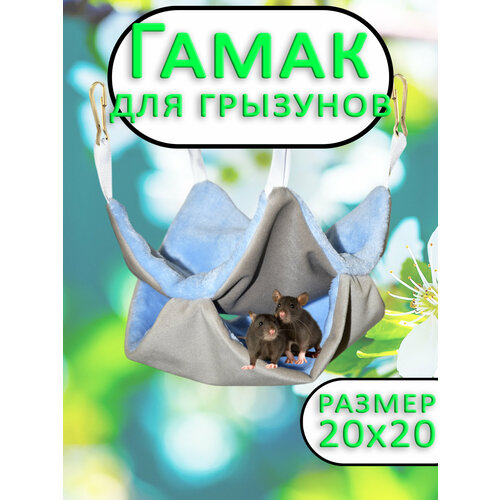 ���� ����� ������������ ��� �������� ����, ������ ������