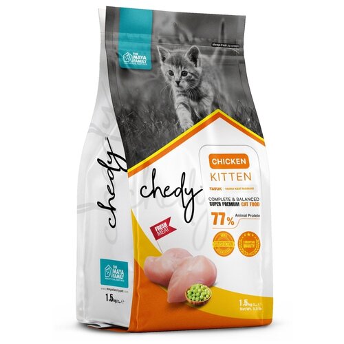      CHEDY Kitten  , 1.5   -     , -,   