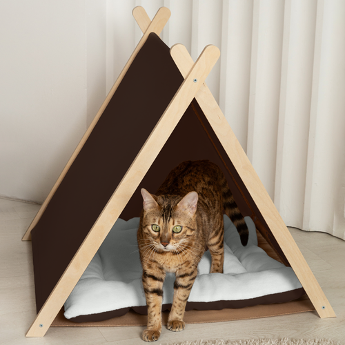 ���� ����� ��� ����� � ����� ������ � ������� ����� � ������ ��������, ������ ������� ��� ��������, ����������, ������ ������