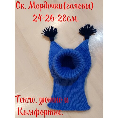 ���� ����� ��� ������, ������ ������