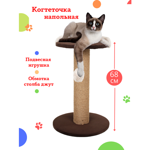 ���� ���������� ������� ��� ����� � ��������, ����������, ������ ������