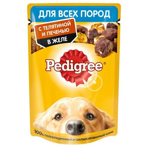      Pedigree ,  1 .  18 .  85    -     , -  