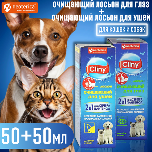  Cliny    +      -     , -  