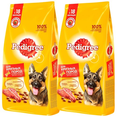      Pedigree  1 .  2 .  13000  (  )   -     , -  