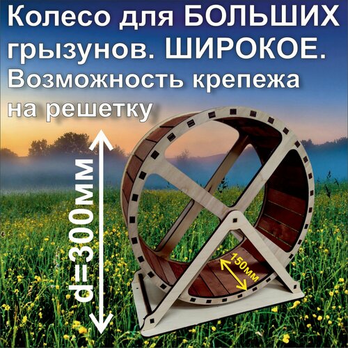 ���� ������� ������ ��� ��������, ����, �����, ��������, ����, ������ 30��, ������ ������