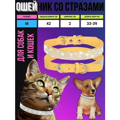 ���� ������� M �� �������� ��� ����� � �����, ������ ������