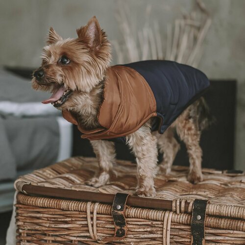 ���� �������/����� ��� �����, ������ ��� �����, 