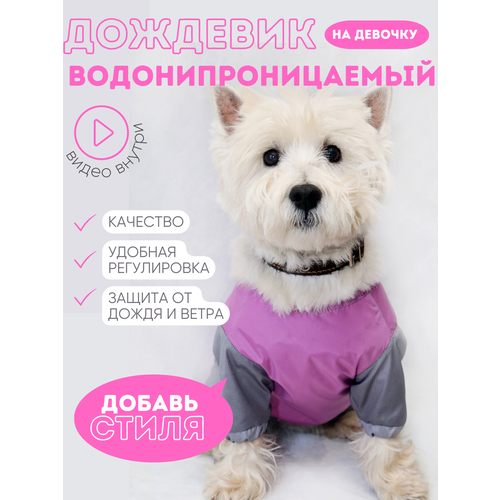 ���� �������� - ���������� La Pulya � ����� ��� �������, ������ ������