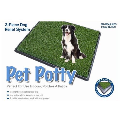           Pet Potty Big (1 )   -     , -  