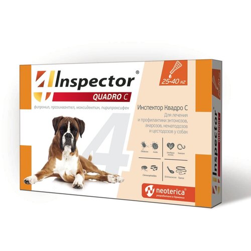  Inspector      Quadro   25  40      1 .  ., 1 .   -     , -  