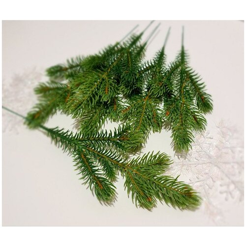 ���� ����� ������ 10 ��. �� ������������� ����� . ���� ������-������, 6 �����. ������ 27 ��., ������ ������