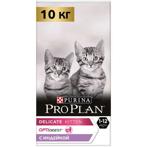      Pro Plan         ,     2 .  10000    -     , -  