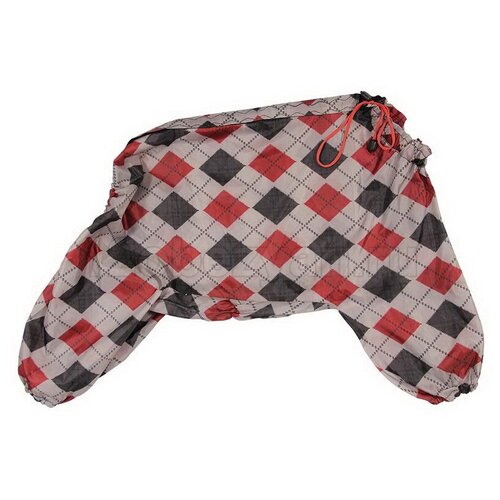 ���� ����������-�������� 