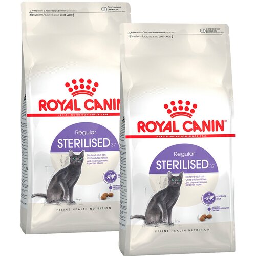    ROYAL CANIN STERILISED 37        (4  + 4 )   -     , -  