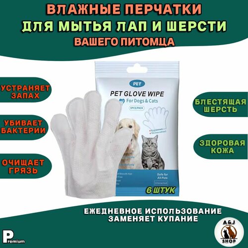 ���� ������� �������� (��������) ��� ����� (�������) �����/����� (1 ��������), ��� ����� ��� � ������, ������ ������