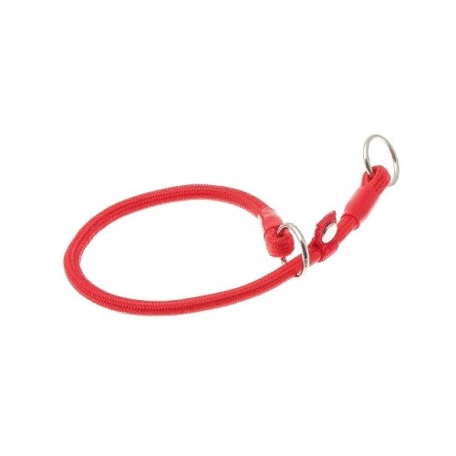 ���� �������� ���� ������� ZooOne (co ��������) � 2-� �������� ������� 6 ��, ����� �������� 30 ��, ������ ��� 30 ��, 1 ��., �������, ������ ������