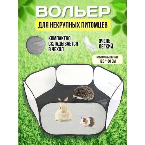 ���� ������, ����� ��� �������� � ��������, ������ �������� ��� ������ �����, �����, ������ ������