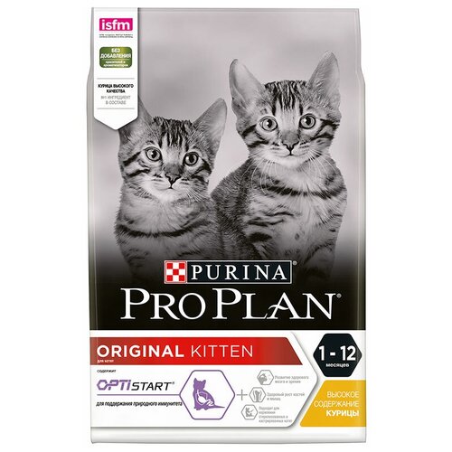    PRO PLAN  , JUNIOR Cat , 1.5    -     , -,   