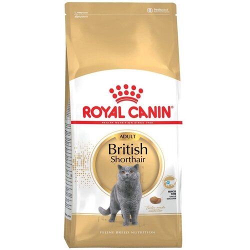      Royal Canin British Shorthair 34 10 