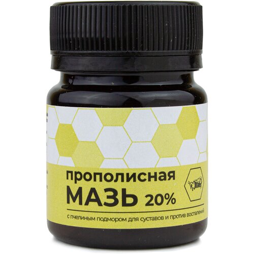 ���� ���� ��� ���� ������������� ����������� � �������� ��������, ��� ������ ����, ���������, �������� ��������������, ���������, 40 ��., ������ ������