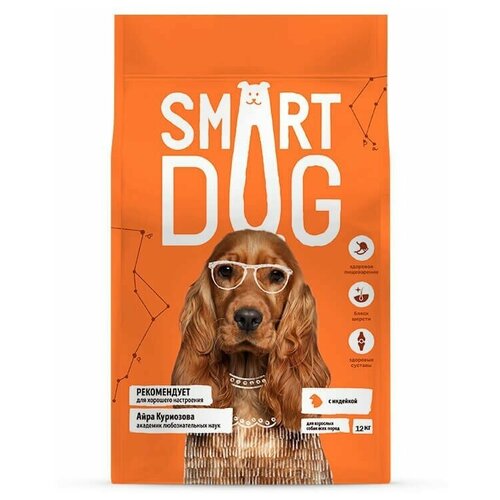  Smart Dog   -      (12)   -     , -,   