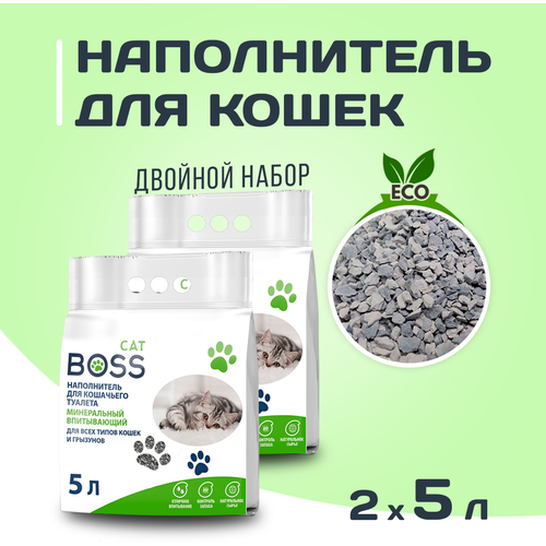       () CatBoss, 10 ( 52),    -     , -  