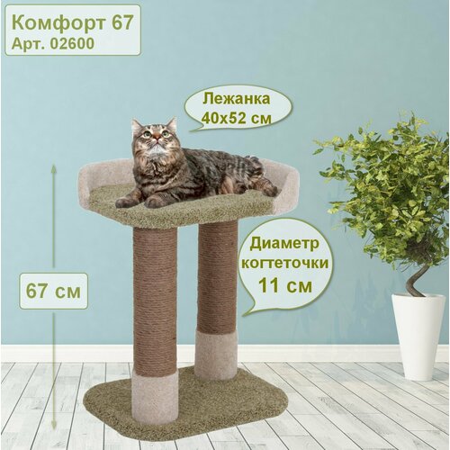 ���� ���������� ��� ����� 