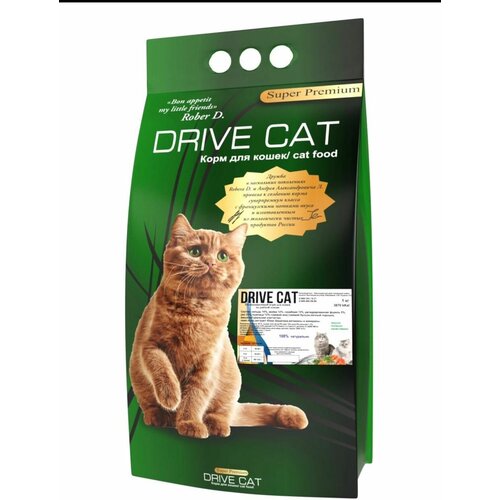      Drive Cat 4   1   -     , -,   