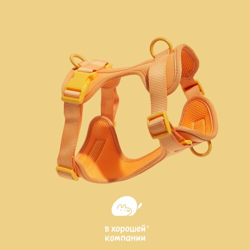 ���� ������������� ����������� ������ ��� ����� ������� ����� IN GOOD COMPANY (� / ������), ������ ������