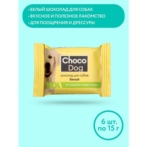  CHOCO DOG  ,   , 6 ,15 , VEDA   -     , -  