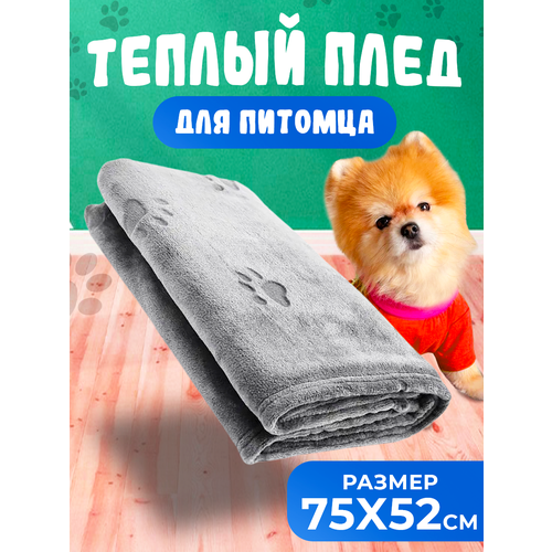 ���� ���� ��� ��������, ���� ������-�����, ������ 75x52 ��, ������ ������