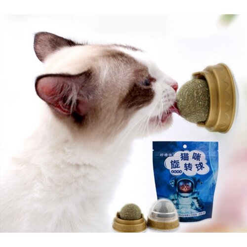 ���� ��������� ������� ��� ����� � �������� �����, ����� � �������� �����, ������� ����, ������ ������