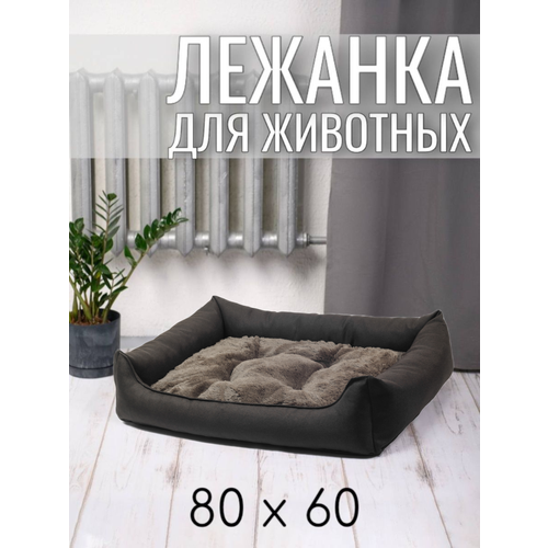 ���� ������� ��� �������� ����� � ����� ������������� 80/60 �� ����: ����� ����������, ������ ������