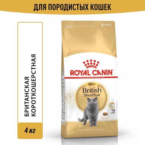    Royal Canin British Shorthair Adult (  )       1   12 , 4    -     , -  