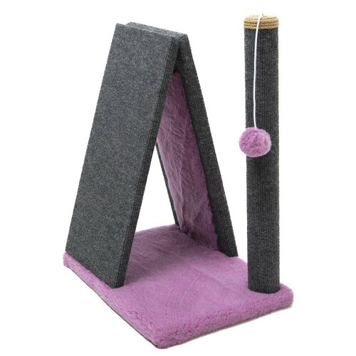 ���� ���������� ��� ����� ������� 