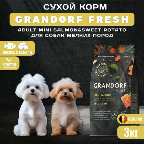    GRANDORF Fresh Dog Adult MINI Salmon&Sweet Potato          , 3    -     , -  